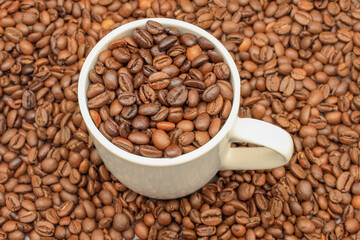 White cup filled with coffee beans on rustic wooden table. Top view. Coffee concept for cafes
