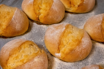 homemade crispy buns, fresh from the oven on the tray, for breakfast, bakery, bread, flour on an kitchen counter, cooking, baking, small bread