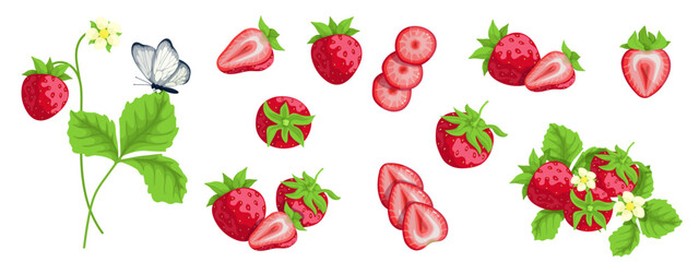 Collection of ripe strawberries, pieces of juicy fruit with green leaves. Isolated vector graphic.
