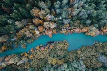River and autumn forest, aerial view