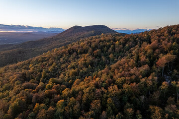Aerial drone view over autumn forest.  - 535348389