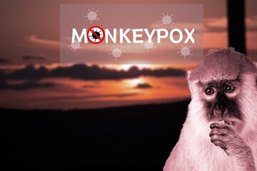 Monkeypox outbreak concept. Monkeypox is a viral zoonotic disease. Virus transmitted to humans from...
