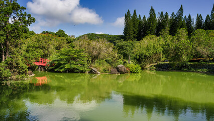 Puente sobre Lago de Jardín Japonés 