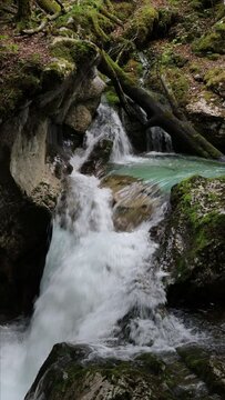 Fresh Clean Alpine Water Flowing in Nature Vertical 4K video