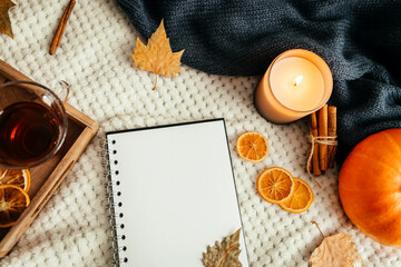 Fototapeta na wymiar Cozy autumn atmospheric composition. Sveti, a pumpkin, hot tea and an open notepad on a beige plaid next to a knitted sweater