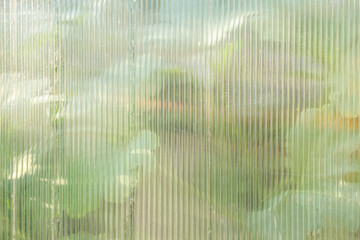 The texture of transparent polycarbonate. Transparent plastic material for greenhouses. Corrugated...