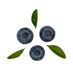 fresh blueberries with green leaves isolated on white background, ripe berries, macro shot of three blueberries top view