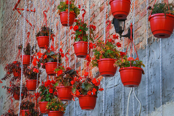 Different types of flowers grow in red flowerpots hanging on chains. Metal construction. Home...