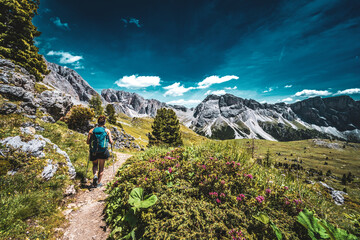 Athletic woman walks along beautiful hike trail at Seceda in the dolomites in the afternoon....