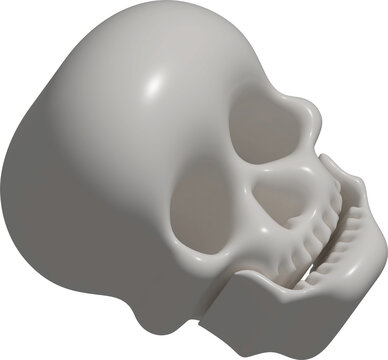 3d human skull isolated on white background.