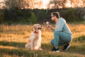 Handsome man with a dog golden retriever walk in spring meadow