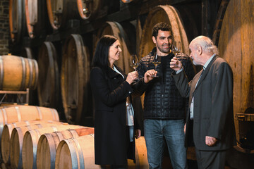 Wine cellar guests, one woman and two men tasting a white wine produced and aged by an old...