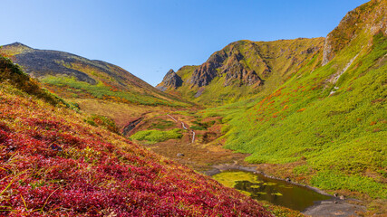 秋田駒ヶ岳　ムーミン谷の紅葉　秋　絶景