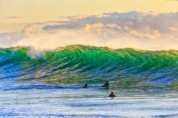 Sea Whale 3 Surfers Wave