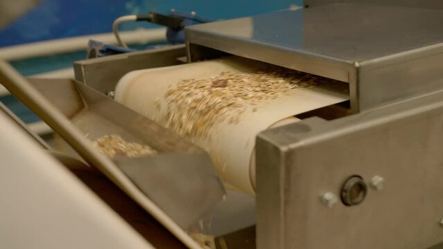 a conveyor belt filled with muesli and oatmeal. automatic production of healthy food. food for vegans