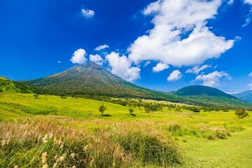 Fototapeta premium 【大分県】すすきが生えた10月初旬の由布岳 湯布院