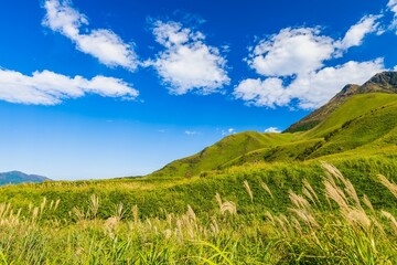 【大分県】狭霧台からみる初秋の由布岳　湯布院