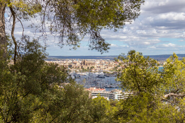 Fototapete bei efototapeten.de bestellen   