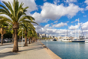 Hafen von Palma de Mallorca   Spanien © Harald Schindler