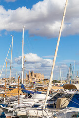 Hafen von Palma de Mallorca mit Blick auf die Kathedrale   Spanien © Harald Schindler