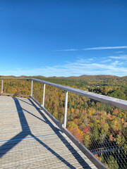 Fototapeta premium Bridge over the forest and mountains. Wooden walkways above the tree tops. Footpath in the wood. Autumn in the park. High platform on a beautiful day in early fall with colored trees. Hiking trail.