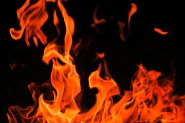 Flame. burning in bonfire. Flames on a black background.Fireplace with flames. Tongues of flame,...