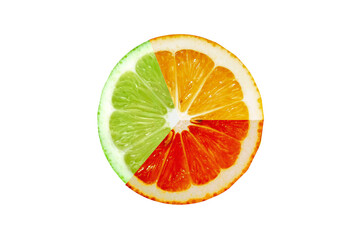 tripod of oranges (blood orange, lime and orange)