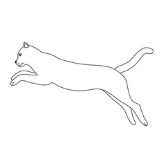 Vector flat hand drawn outline jumping cat isolated on white background