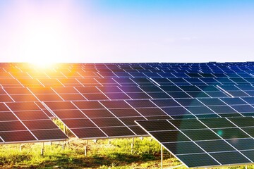 Solar panes in a solar park for clean energy production. Alternative energy concept to reduce...