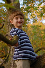 Portrait of the little boy sitting on the tree