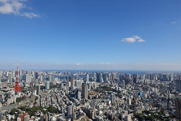 東京タワーと都心の街並み