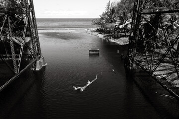 Fototapeta premium Hakalau, Hawai'i