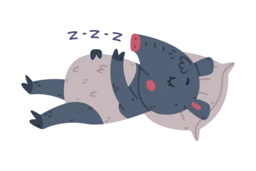 Schilderijen op glas Cute Grey Tapir Animal with Proboscis Snoring Sleeping on Pillow Vector Illustration © topvectors
