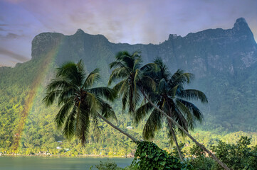 Paopao sous son arc-en-ciel à Mo'orea