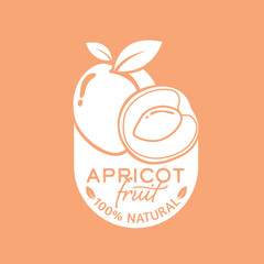 fresh apricots fruit vector illustration