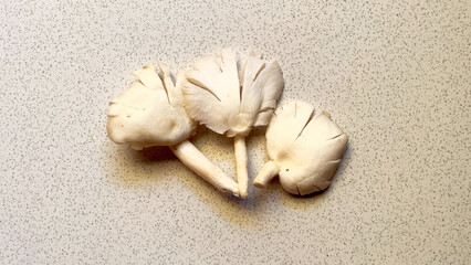 Fototapeta na wymiar Mushrooms on the floor