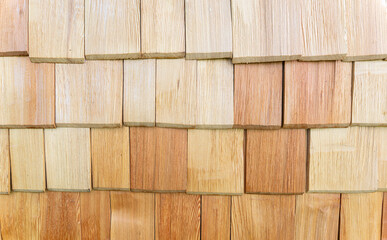 wood texture. background old panels