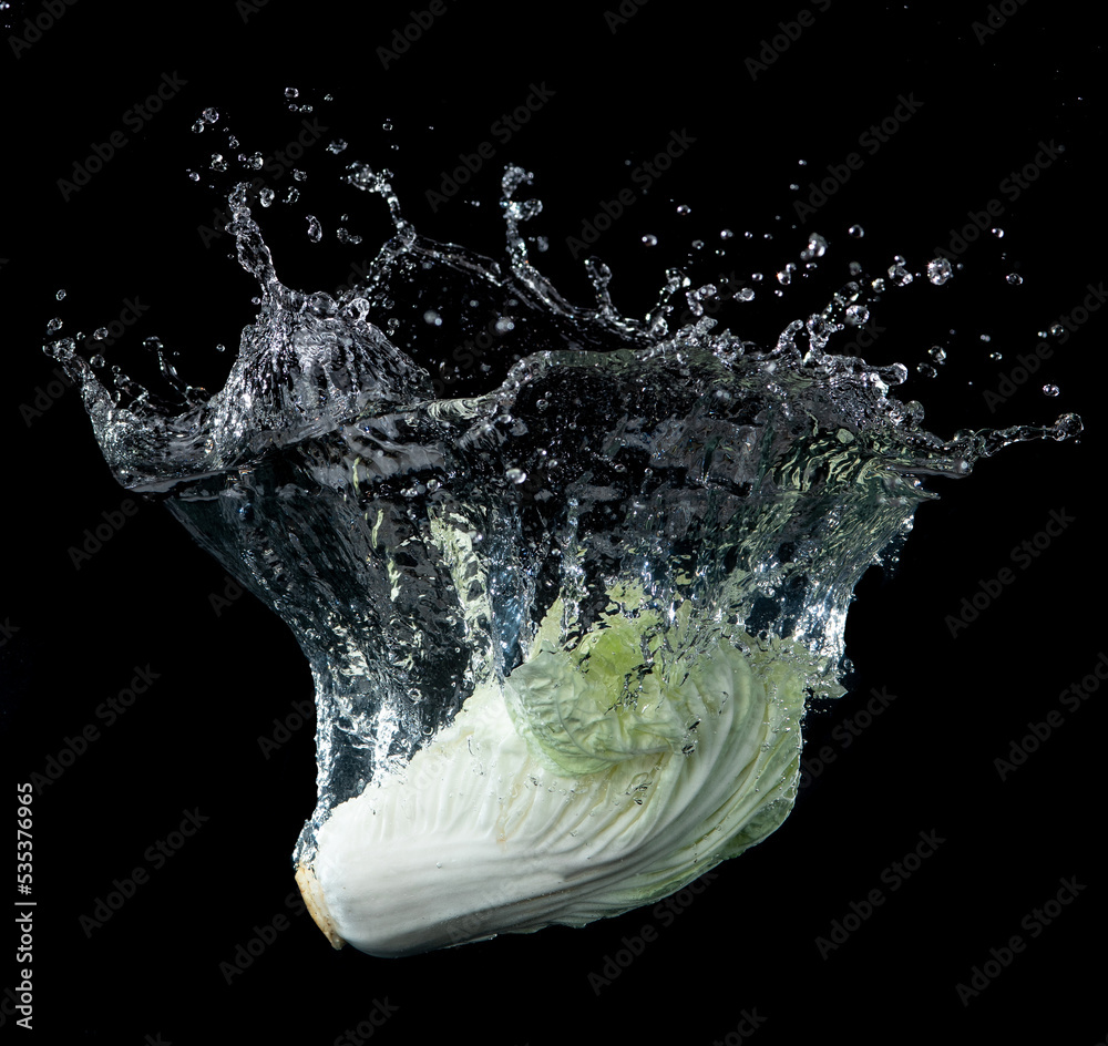 Sticker head of lettuce with water splash isolated on black background,lettuce washing