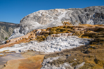 Naklejka premium Mammoth Hot Springs Terraces, Yellowstone National Park.