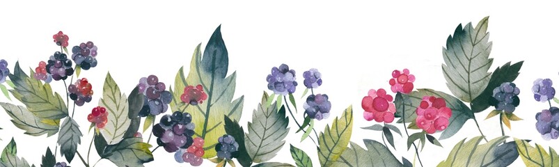 Floral web banner with blackberries and raspberries. Summer greenery border. Hand Drawn watercolor forest berries.
