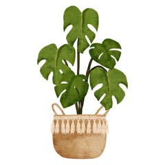 watercolor home decor monstera plant with pot