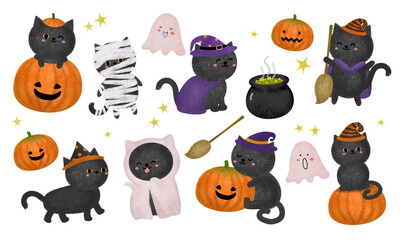 cute watercolor black cat with witch hat on Halloween orange pumpkin, trick or treat, animal character illustration.