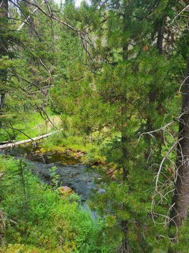 Kading Campground 
