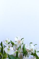 Obraz na płótnie Canvas a beautiful white flowers bouquet in nature.