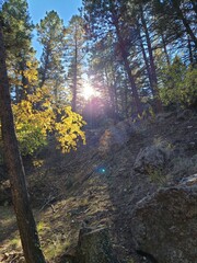 Hiking in the hills 