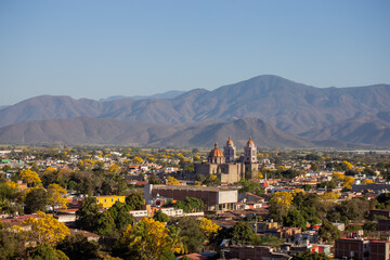 primaveras amarillas en autlan de navarro jalisco