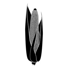 Silhouette corn cob with grains and leaves isolated on white background. Design element.
