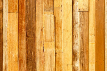Closeup and crop yellow wood plank wall background and textured.