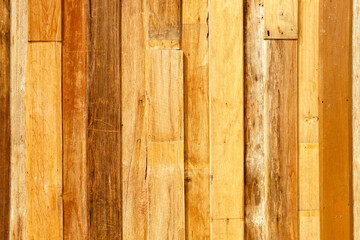 Closeup and crop yellow wood plank wall background and textured.