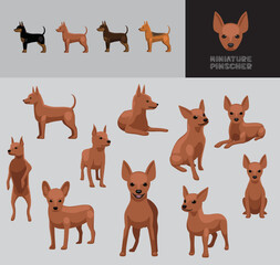 Dog Miniature Pinscher Brown Coat Cartoon Vector Illustration Color Variation Set
